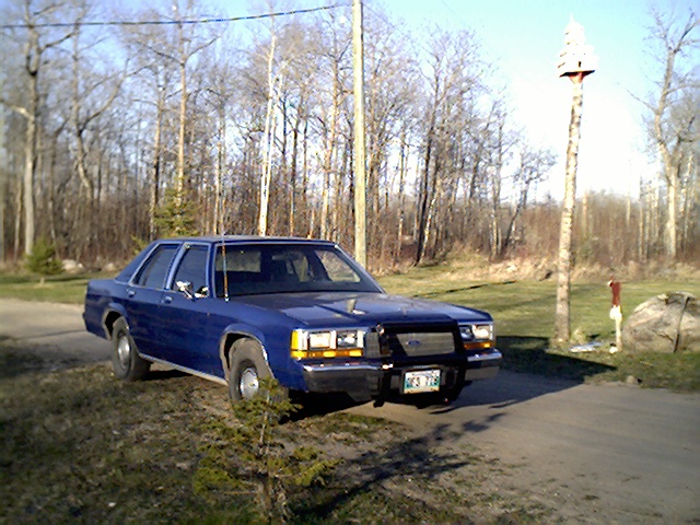 Blue 1988 Ford Crown Victoria with push bar