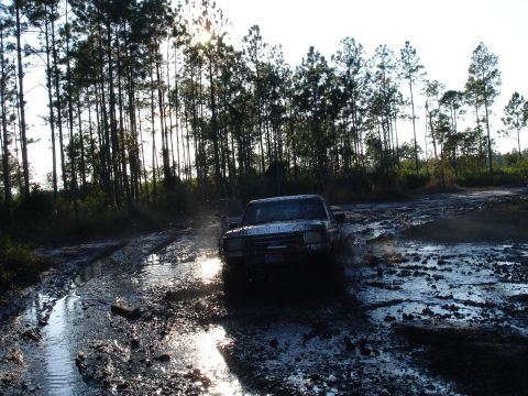 1989 Ford Bronco - A truck navigates a muddy track surrounded by trees.