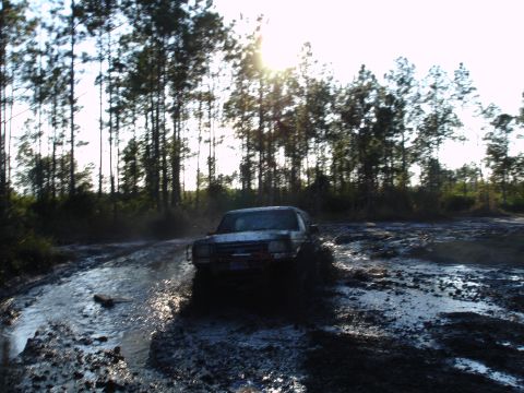 1989 Ford Bronco - A 1989 Ford Bronco navigates a muddy track surrounded by trees.