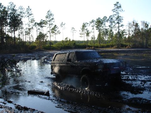 1989 Ford Bronco - This vehicle is stuck deep in the mud and water, surrounded by trees.