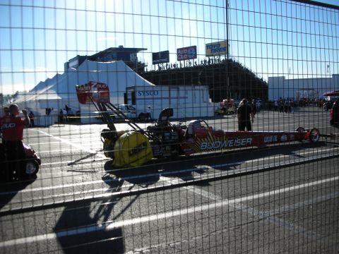 1998 Ford Crown Victoria - Budweiser-liveried Top Fuel dragster sits on the track viewed through a chain-link fence with grandstands behind.