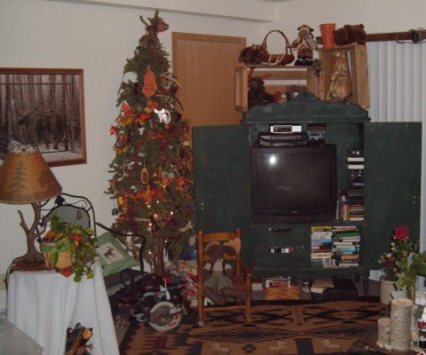 2006 Ford E350 - We always have our tree up.