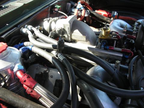 1998 Ford Crown Victoria - Engine bay close-up showing an intake manifold, tangled braided lines, and red and blue anodized AN fittings.