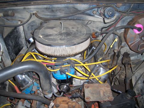 1983 Ford Bronco - The engine bay of a 1983 Ford Bronco shows its chrome air cleaner and blue distributor cap.