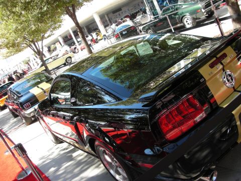 1998 Ford Crown Victoria - black-over-yellow coupe with a Shelby cobra badge sits on display amid other show cars under trees.
