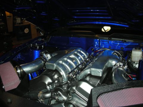 1998 Ford Crown Victoria - Engine bay of a blue car holding a polished V8 with central intake manifold flanked by two red cone air filters.