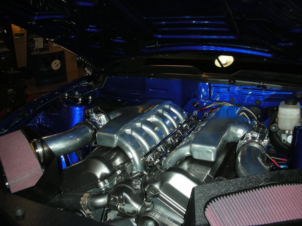 Polished V8 engine bay under a blue car with twin red cone filters