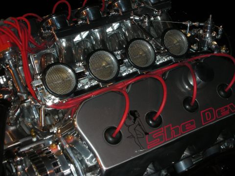 1998 Ford Crown Victoria - Close-up of a polished V8 engine with four mesh air filters, red plug wires and a 'She Devil' pin-up valve cover.