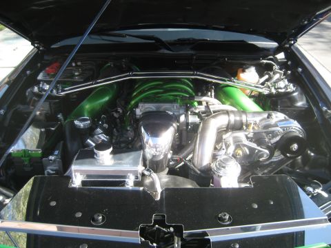 1998 Ford Crown Victoria - Customized engine bay bright green intake tubes and a polished supercharger.