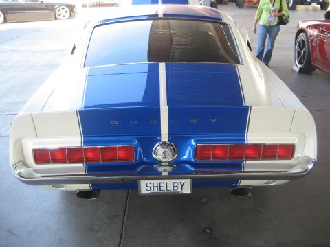 1998 Ford Crown Victoria - Rear view of a white 1967 Shelby GT500 with iconic blue racing stripes and a custom 'SHELBY' license plate.