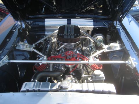 1998 Ford Crown Victoria - Customized engine bay a ROUSH air intake and polished chrome parts.