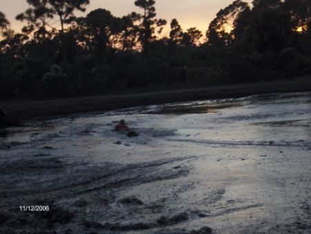 1974 Ford F-100 - A person is partially submerged in muddy water with trees silhouetted against the sunset.