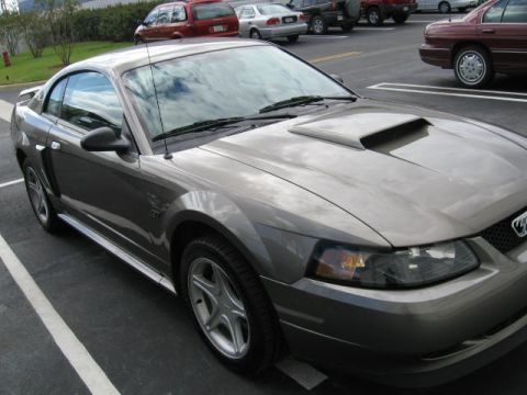 2001 Ford Mustang - This gray 2001 Ford Mustang coupe features a prominent hood scoop and is captured in a front three-quarter view.