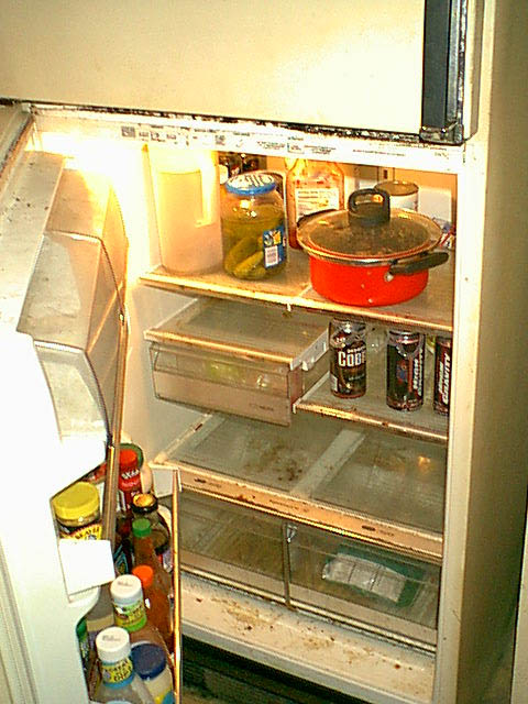 1983 Ford Bronco - here is the fridge. no food anywhere.
