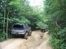 1989 GMC Jimmy - Two SUVs navigate a narrow dirt path surrounded by dense foliage on a sunny day.
