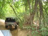 1989 GMC Jimmy - SUV navigates a wooded trail on a sunny day.