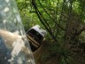1989 GMC Jimmy - A camera is mounted to a tree trunk, surrounded by foliage and branches.