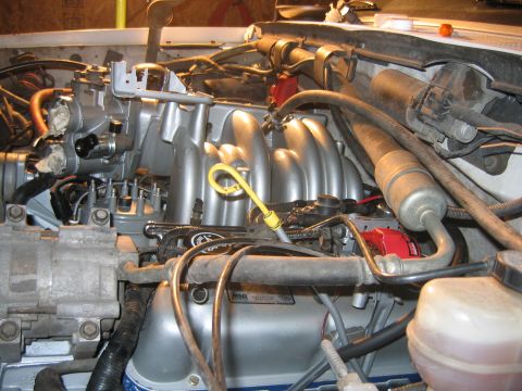1992 Ford Bronco - Close-up of a Ford V8 engine bay showing the silver-painted intake manifold and lower intake, with a yellow oil dipstick handle, braided an…