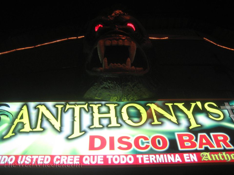 Illuminated gorilla head with red eyes above Anthony's Disco Bar sign at night