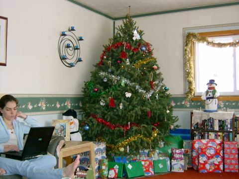 1990 Ford Bronco - tree