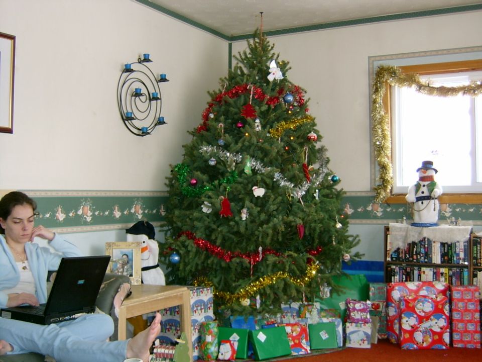 Decorated Christmas tree with wrapped presents in a living room