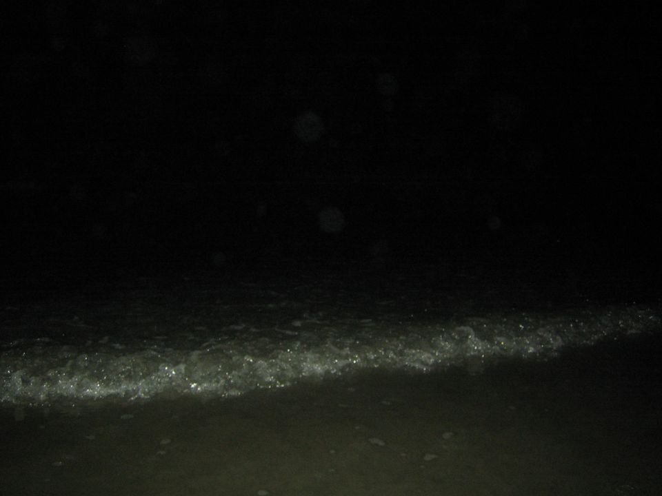 Dark night beach scene with surf washing onto wet sand