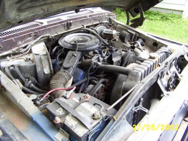 1979 Ford Bronco photo