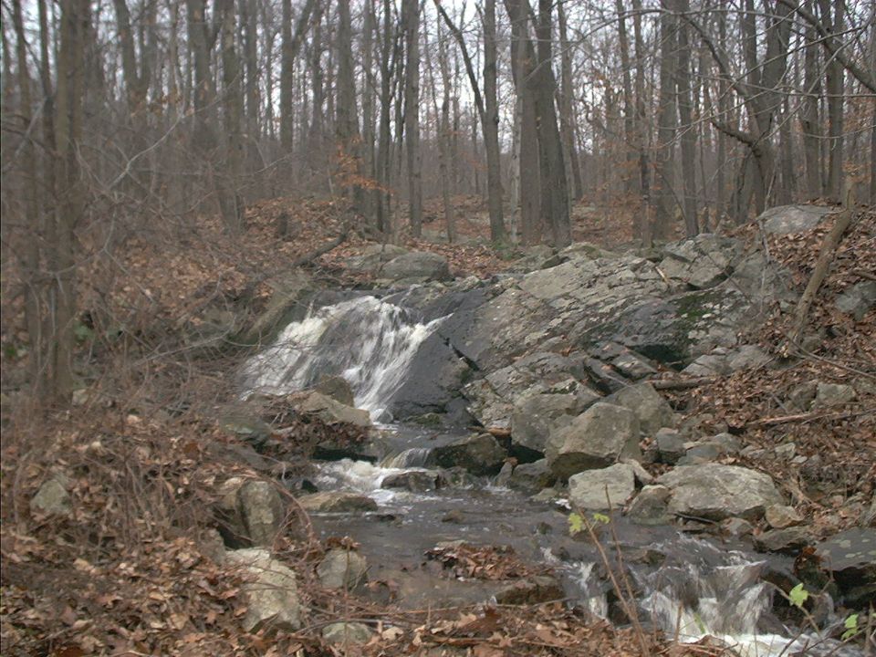 Waterfall cascading over rocks in a wooded area with fallen leaves