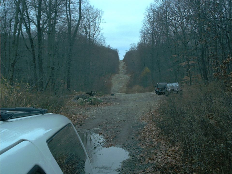 Two SUVs parked on a dirt road in a wooded area