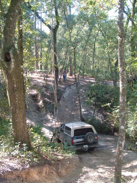1995 Ford Bronco - Ford Bronco tackling an off-road trail through a dense forest.