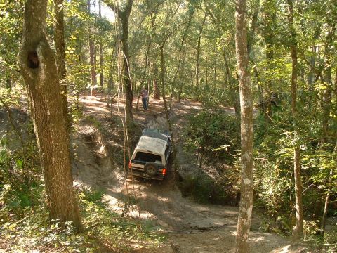 1995 Ford Bronco - An SUV navigates a challenging off-road trail through a dense forest.