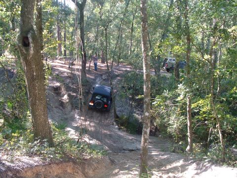 1995 Ford Bronco - Off-road vehicles tackle a challenging dirt trail in a wooded environment.
