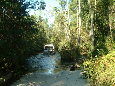 1995 Ford Bronco - A white SUV navigates a water crossing on a wooded trail.