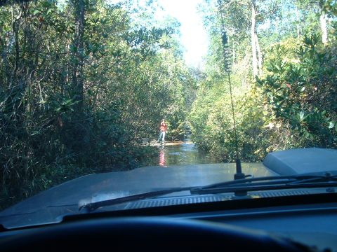 1995 Ford Bronco - Driving through a shallow stream surrounded by dense foliage, with a person visible in the distance.