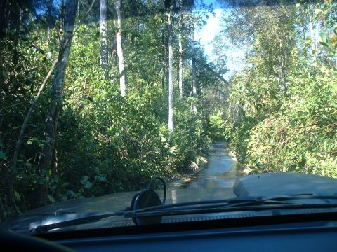 1995 Ford Bronco - Driving through a wooded area on a wet, muddy path.