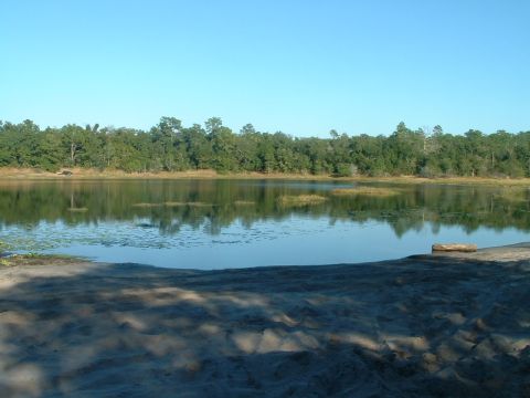 1995 Ford Bronco - A landscape a tranquil lake surrounded by lush trees, with sandy ground in the foreground and a website URL visible.