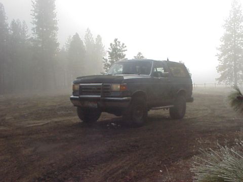 1989 Ford Bronco - In the morning mist