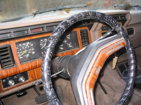 1981 Ford Bronco photo