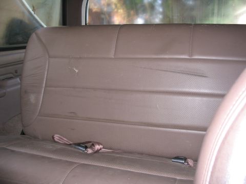 1981 Ford Bronco photo