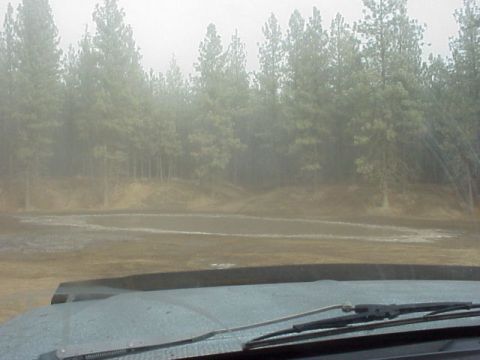 1989 Ford Bronco - Frozen Puddle Jumper... NAH!