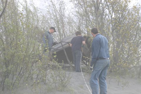 2003 Jeep TJ - People assemble a frame structure outdoors amidst trees and sandy terrain.