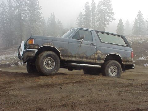 1989 Ford Bronco - Flex flex here...