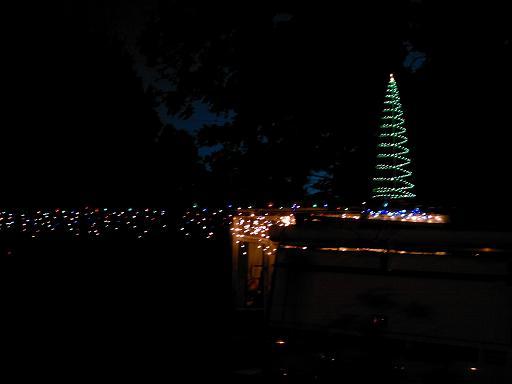 Christmas tree decorated with green lights at night, with other lights in the background