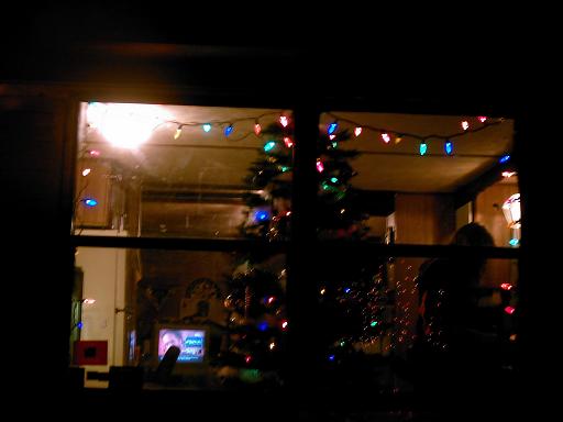 View through a window at night showing Christmas lights and trees inside