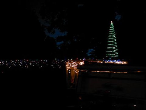 1986 Ford Bronco - A decorated Christmas tree stands tall against the night sky, illuminated by festive lights.