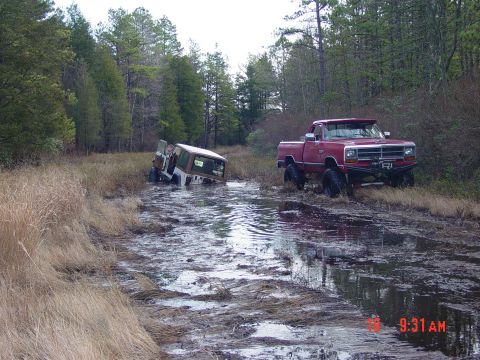 1995 Dodge 1500