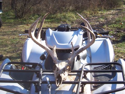 1992 Ford C-250 (Centurion Conversions) - 8 pt. found with head stuck in tree