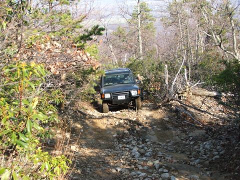 1996 Ford Bronco - SUV driving off-road on a narrow, rocky path through a dense forest.
