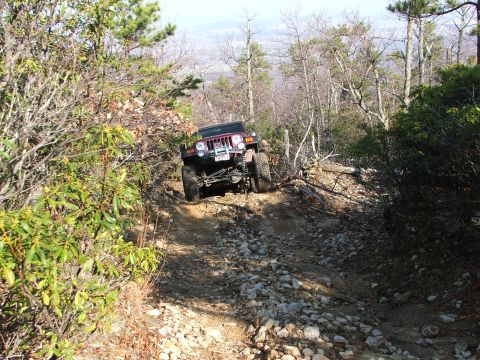 1996 Ford Bronco - Jeep Wrangler TJ navigates a challenging rocky incline on a wooded trail.