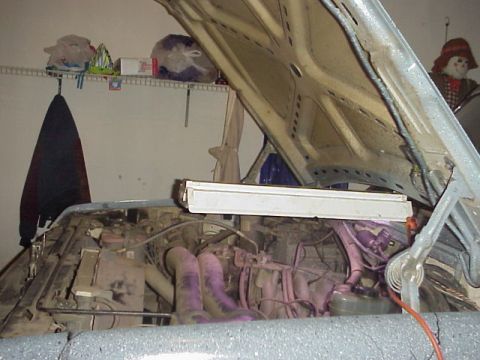 1989 Ford Bronco - The engine bay of a vehicle is visible with the hood open, revealing various components and purple hoses.
